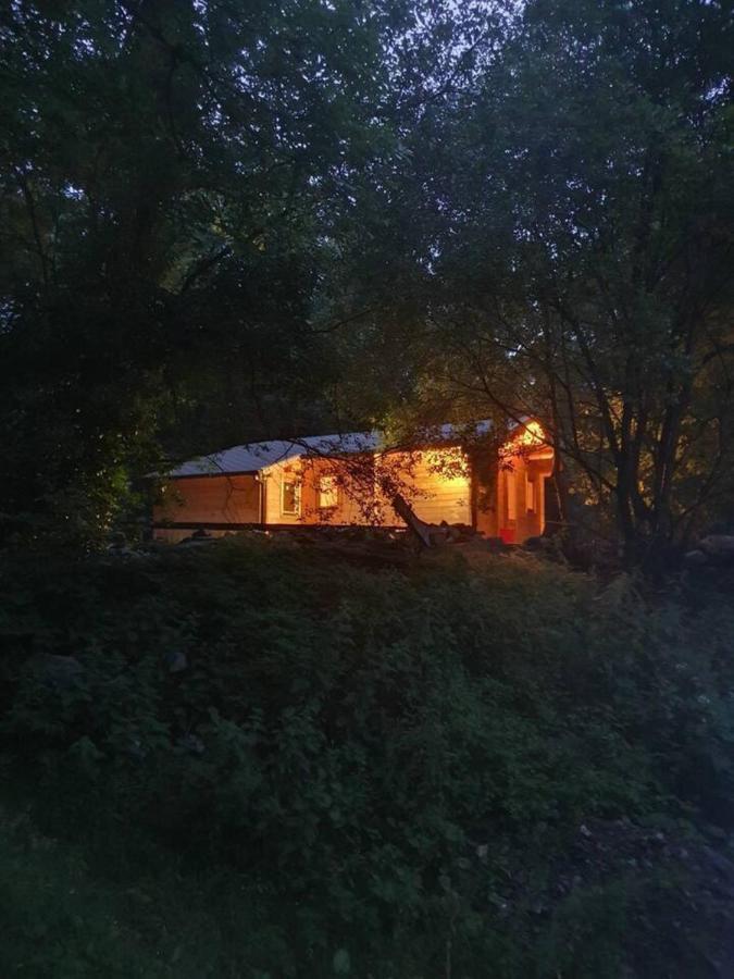 Stunning Log Cabin On The Lake Portroe Exterior foto